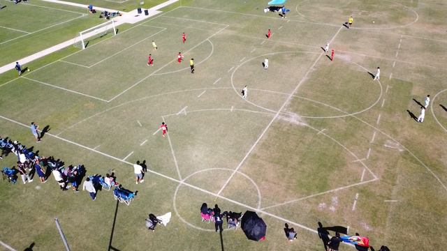 BARCA VS WELLINGTON 2 смотреть онлайн