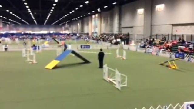 Bean Chapman hybrid 121315 смотреть онлайн