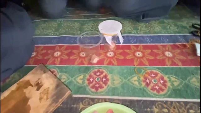 PERCOBAAN PEMBUKTIAN TEORI BIOGENESIS FRANCISCO REDI #Maswivlog смотреть онлайн