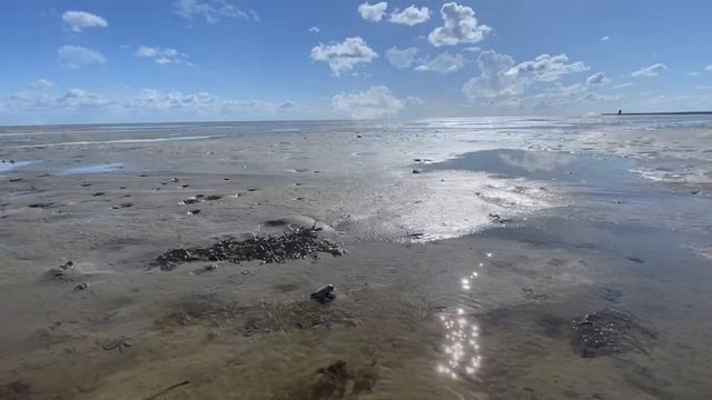 Rust Re Creatie Dagen Terschelling april 2022 смотреть онлайн