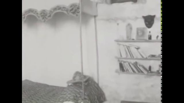 LEONOR FINI en Corse - 1966 (1) смотреть онлайн