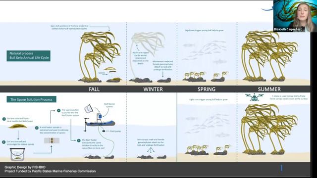 The Spore Solution: The Complicated California Kelp Conundrum and What is Happening Now смотреть онлайн