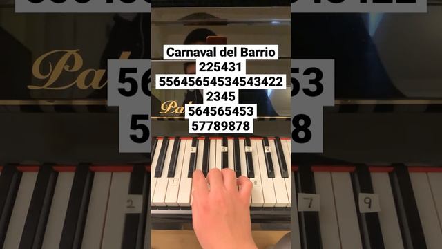 Carnaval del Barrio #piano #pianomusic #pianotutorial #pianocover #pianolessons #intheheights смотреть онлайн
