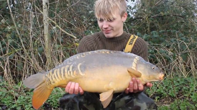 Gert carp at linear fisheries New PB! смотреть онлайн