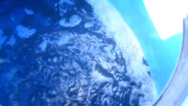 Купил Мега Рыцаря в клэш рояль смотреть онлайн