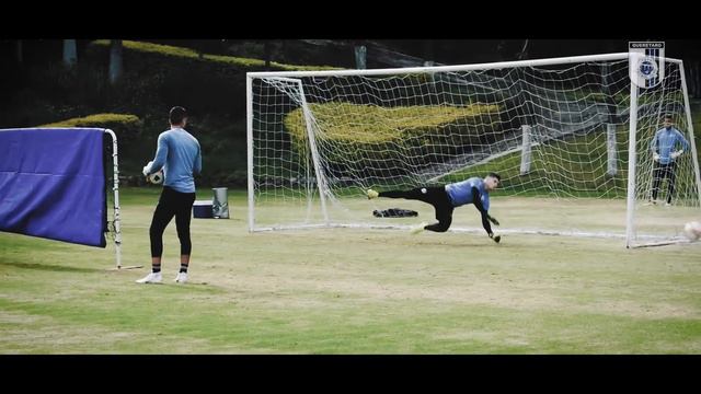 ¡Gracias Volpi! смотреть онлайн