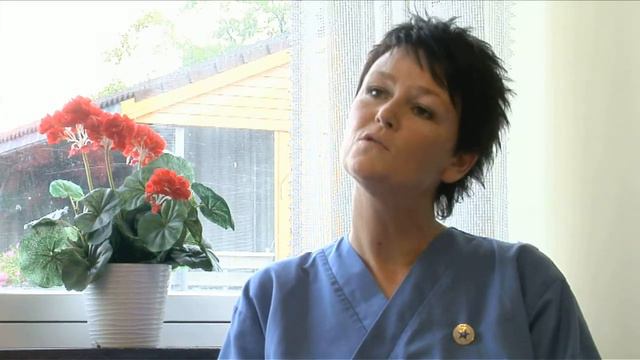 Gjerpenprosjektet del2. смотреть онлайн