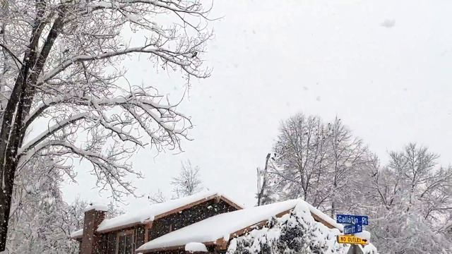 Snow STORM in Colorado – How we saved the trees :D смотреть онлайн