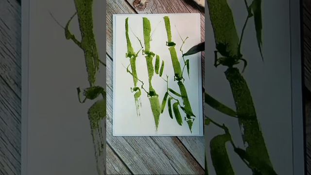 Bamboo, watercolor painting смотреть онлайн