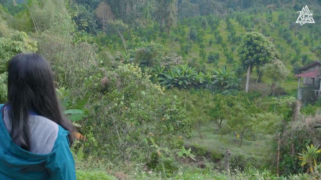 ขับรถเที่ยว ปาย-เชียงใหม่-ชลบุรี แวะสะพานประวัติศาสตร์ท่าปาย ไร่ส้มโรดวิว ไม้เฮือน 60 แม่ริม