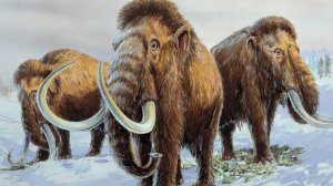 Судьба последних мамонтов