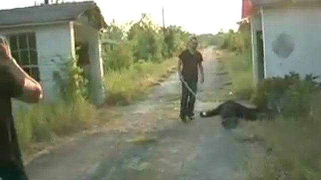 aarons vlog (Bigfoot) смотреть онлайн