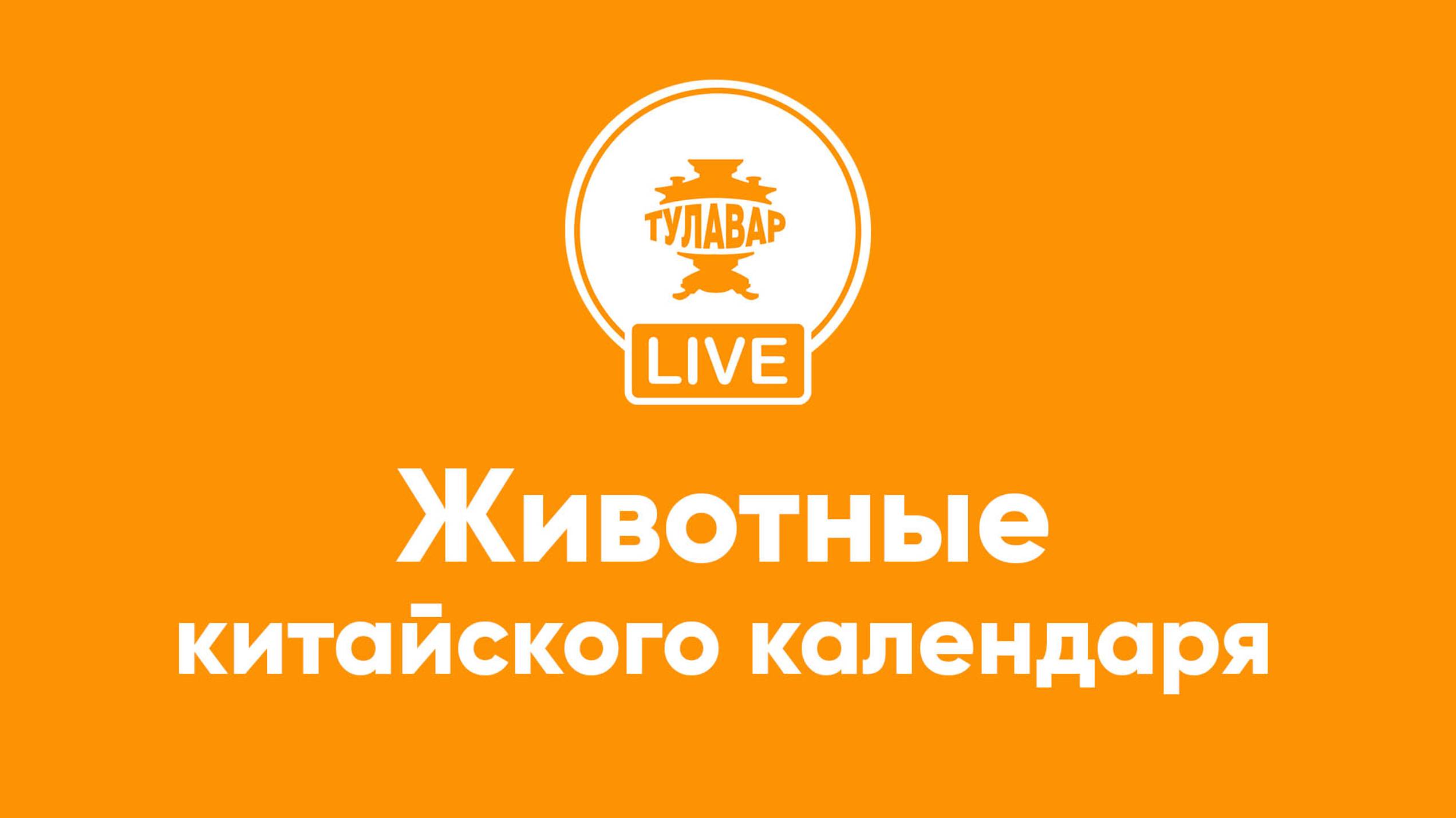 Прямой эфир Тулавар: Животные китайского нового года смотреть онлайн