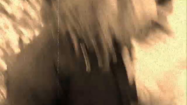 Ilse de Lange: Miracle --- Memories of me and my friends смотреть онлайн