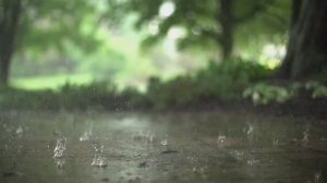 Классическая музыка | Фортепиано | Вальс дождя | Музыка Ярослава Никитина | Релакс