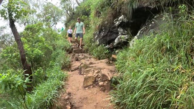 Little Adam's Peak 🇱🇰 I Ella I ऐला की सबसे खूबसूरत जगह I Sri Lanka Vlog#8 I wewanderworld смотреть онлайн