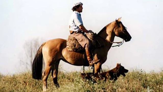 Domador de Invernada Moises Oliveira смотреть онлайн