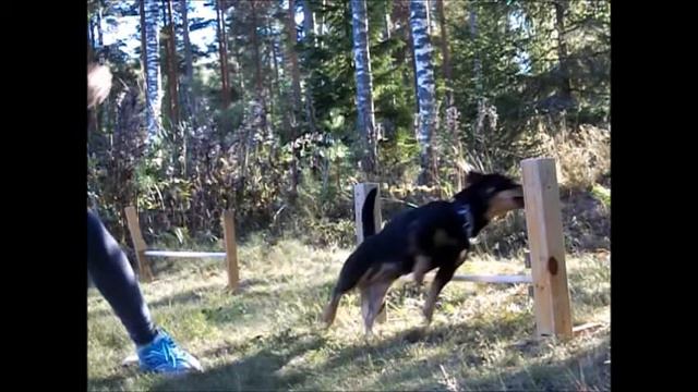 Viikon uusin opittu juttu :) смотреть онлайн
