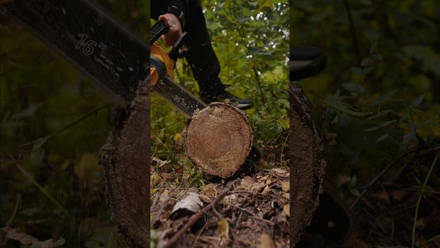 Осенний релакс 🧘🏻♂️ Как работает мощная аккумуляторная пила Huter ELS-40-4 Li #осень #diy смотреть онлайн