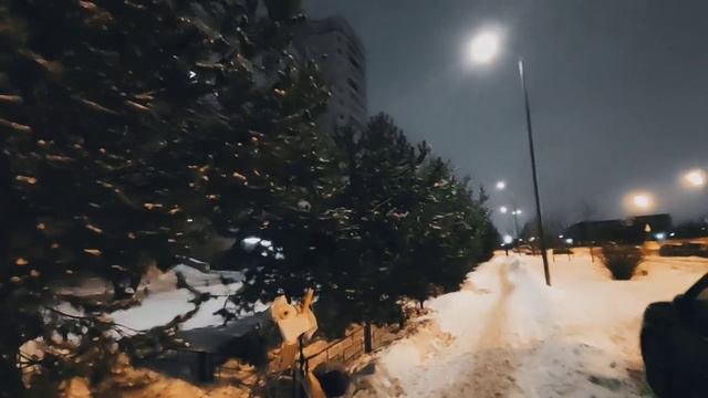 VID 20240216 073216 Писателю Мартину Андерсену Нексе (Кнут Беккер)...Павел Васильев Лахтинский смотреть онлайн