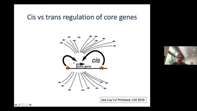 IBDGC Webinar - Dr. Jonathan Pritchard "Why are human complex traits so enormously polygenic?" смотреть онлайн