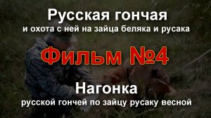 Фильм #4 - Нагонка русской гончей по зайцу русаку весной