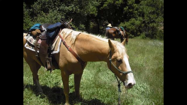 cuyamaca/warners/ borrego/riding in San Diego,ca. смотреть онлайн