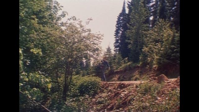 Найти и обезвредить (1982)