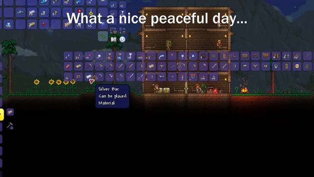 TERRARIA.EXE смотреть онлайн