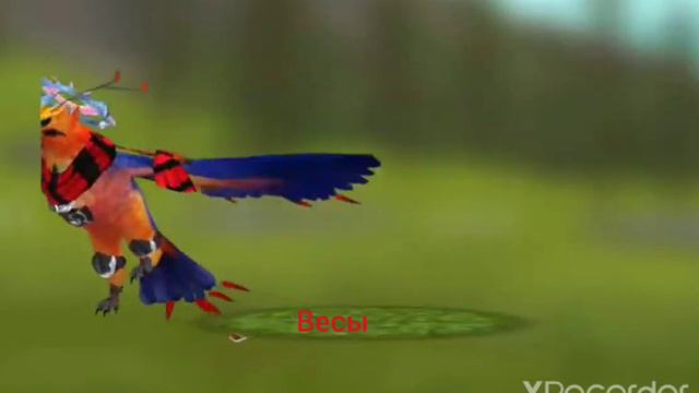 какой ты зверь по зз (Wild craft) смотреть онлайн