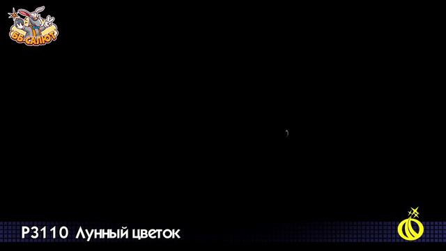 Фейерверк летающий “Лунный цветок”, арт. Р3110
Салютыч смотреть онлайн