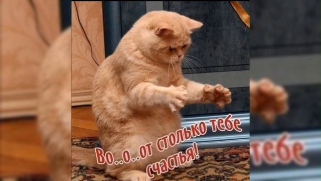 Останови меня.mp4 смотреть онлайн