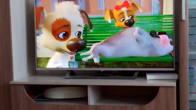 первое моё видео