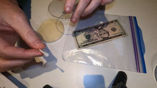 Dirty Money Part 2: Culturing Bacteria From Money - STEM with Mr. C смотреть онлайн