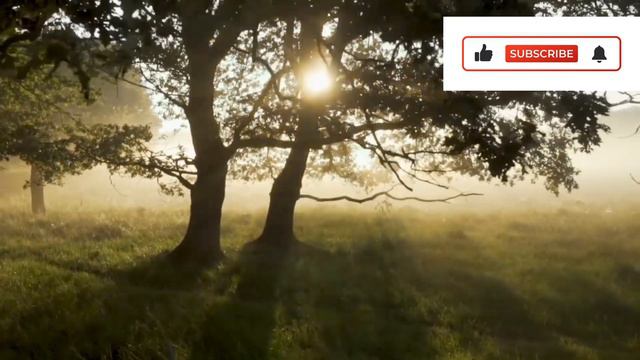 2024 motivational status bangla বাণী motivational status bangla মোটিভেশনাল উক্তি motivational statu смотреть онлайн