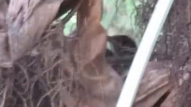 28.06 Шестой день наблюдений смотреть онлайн