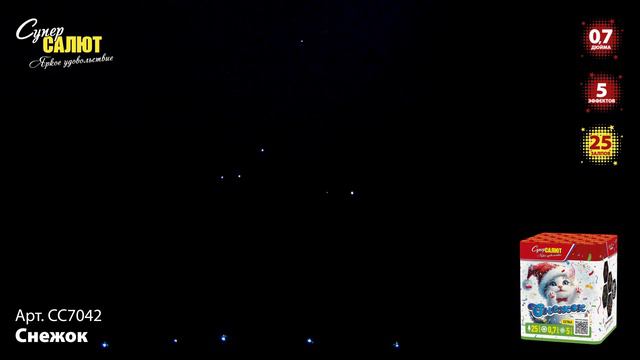 СС7042_2024 смотреть онлайн