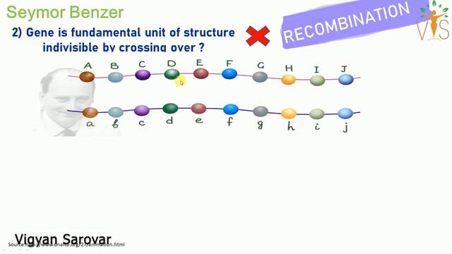 Seymour Benzer Experiment | Complementation | Bacteriophage genetics | rII locus смотреть онлайн