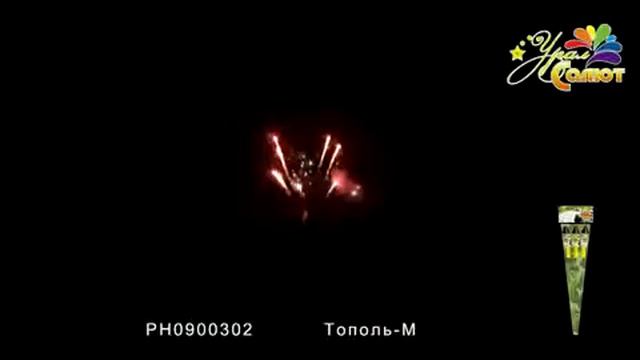 Ракета “Тополь М” 2.5″х3 , арт. РН0900302 Салютыч смотреть онлайн