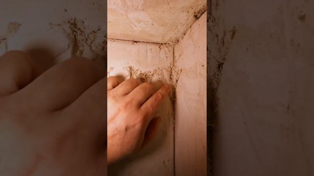 Зачем прорезают штукатурку когда она сырая смотреть онлайн