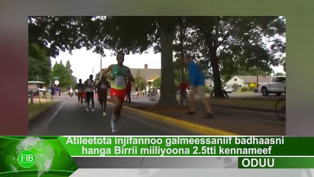 FiB: Atileetota injifannoo galmeessaniif badhaasni hanga Birrii Miiliyoona 2.5tti kennameef. смотреть онлайн
