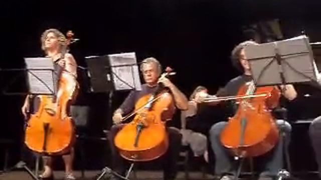 Apresentação de Violoncello Ceim - UFF 2008 смотреть онлайн