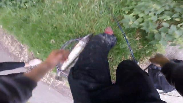 Frogging For Pike смотреть онлайн