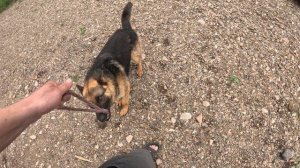 Прокатились на лодках Solar 420 strela и Флагман 430, по р.Чусовая с двоюродным братом!!!