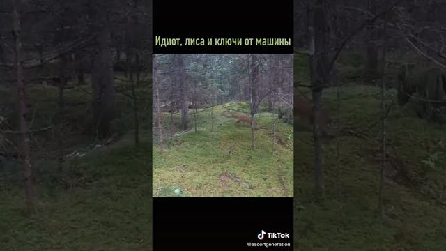 VID-20200823-WA0000.mp4 смотреть онлайн