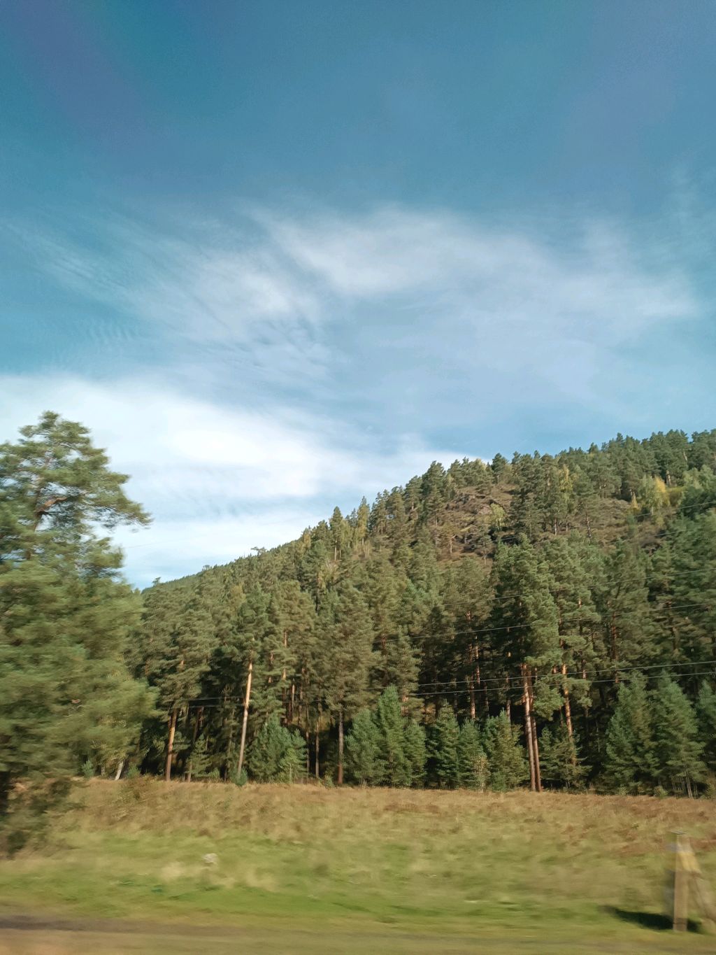 заново вигня