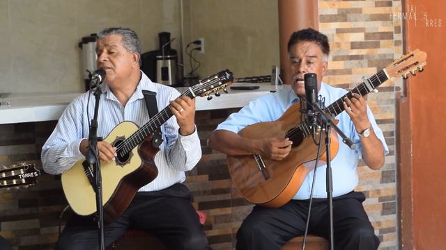 Trio Hermanos Torres - El Volverá (LIVE) смотреть онлайн
