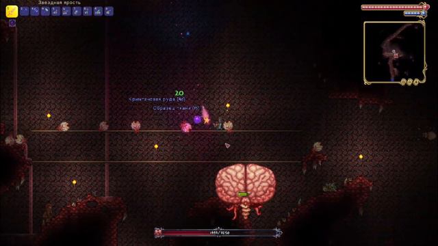 Terraria Cthulchu Brain смотреть онлайн