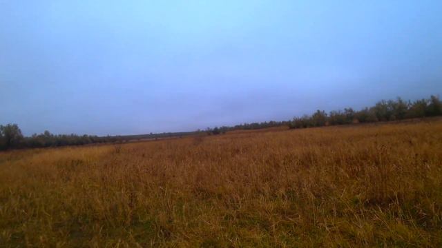 Охота в кайф! Охота на фазана!! Дичь есть!!! смотреть онлайн