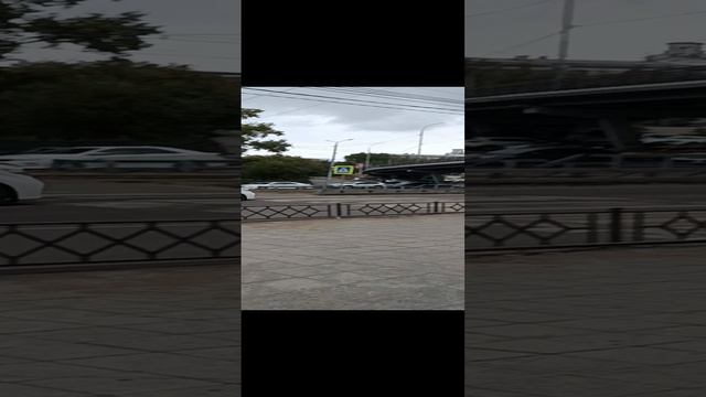 Наталья Гордеева